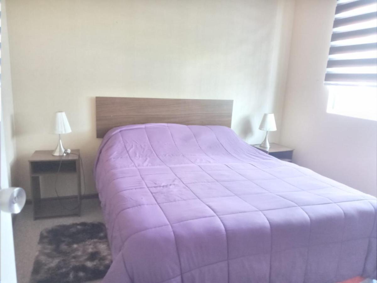 Se Arrienda Departamento En La Ciudad De