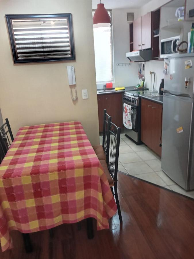 Se Arrienda Departamento En La Ciudad De Apartamento Chillán