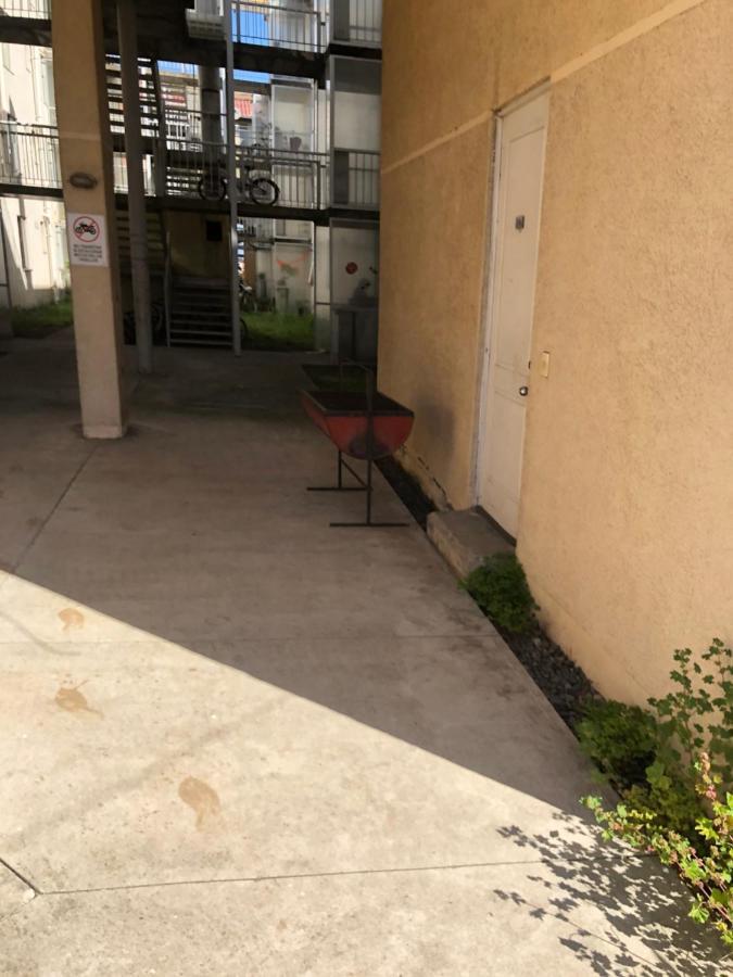 Se Arrienda Departamento En La Ciudad De
